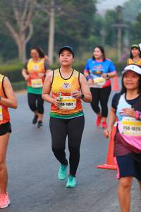 BIB: 11041, 125
                            <button type="button" onclick="openModal(10035483)" class="btn btn-primary btn-sm float-right btn-popup" data-toggle="modal" data-target=".modal-high-quality">
                        <i class="fas fa-shopping-cart"></i> Add to Cart
                    </button>
                                            <button type="button" onclick="isThisMe(10035483, true)" class="btn btn-success btn-sm float-right btn-popup btn-isme hidden" data-toggle="tooltip" data-placement="bottom" title="นี่คือรูปของคุณใช่ไหม คลิกที่นี่เพื่อเอาเข้าอัลบั้ม">
                        <i class="fas fa-plus"></i> Add to album
                    </button>
                    <button type="button" onclick="isThisMe(10035483, false)" class="btn btn-warning btn-sm float-right btn-popup btn-isnotme hidden">
                        <i class="fas fa-ban"></i> Remove from album
                    </button>